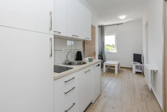 Apartmán Ostrov Vir - Vir OS 10328 N5