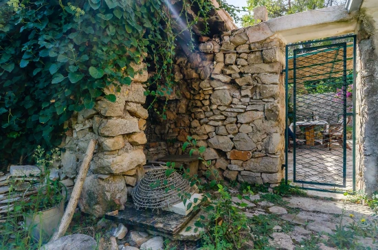 Domek Ostrov Hvar - Vrbanj OS 10331 N1