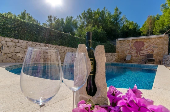 Vila Ostrov Hvar - Zavala OS 10332 N1