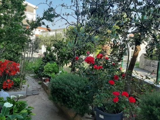 Apartmán Severní Dalmácie - Vodice DA 8506 N2