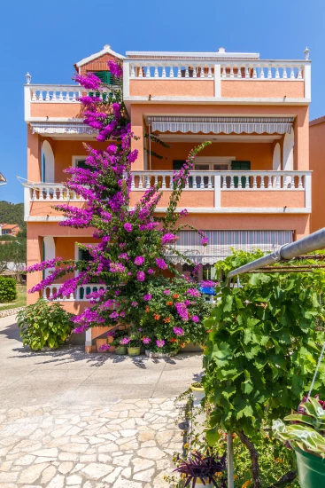 Apartmán Ostrov Rab - Barbat OS 10337 N5