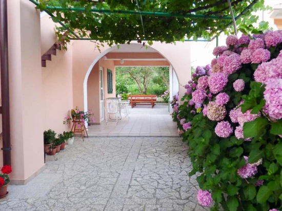 Apartmán Ostrov Rab - Lopar OS 10340 N1