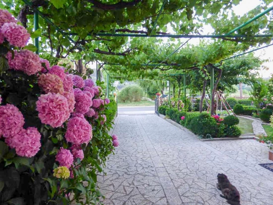 Apartmán Ostrov Rab - Lopar OS 10340 N1