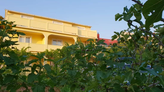 Apartmán Ostrov Rab - Lopar OS 10341 N2