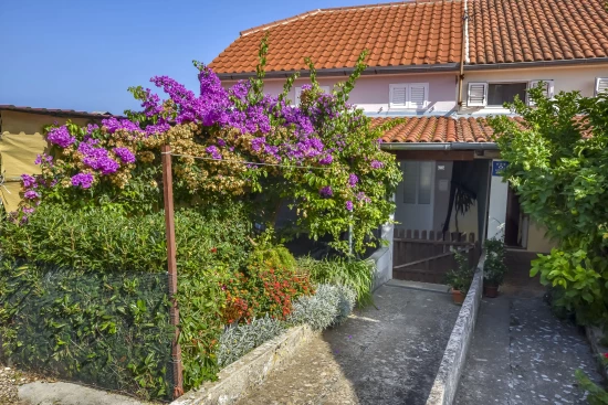 Domek Ostrov Iž - Mali Iž OS 10345 N1