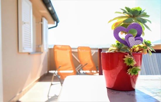 Apartmán Ostrov Rab - Lopar OS 10347 N2