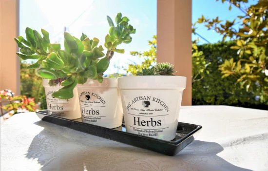 Apartmán Ostrov Rab - Lopar OS 10347 N3