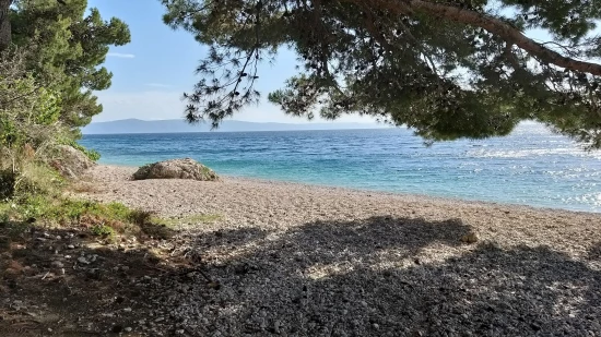 Apartmán Střední Dalmácie - Podgora DA 8514 N1