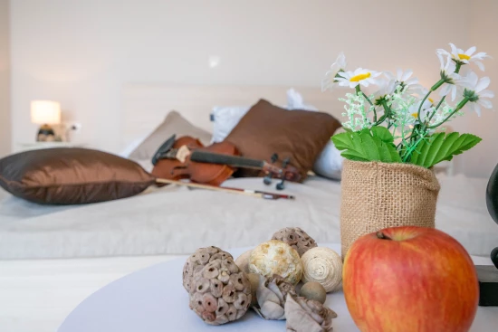 Apartmán Střední Dalmácie - Staniči DA 8518 N1