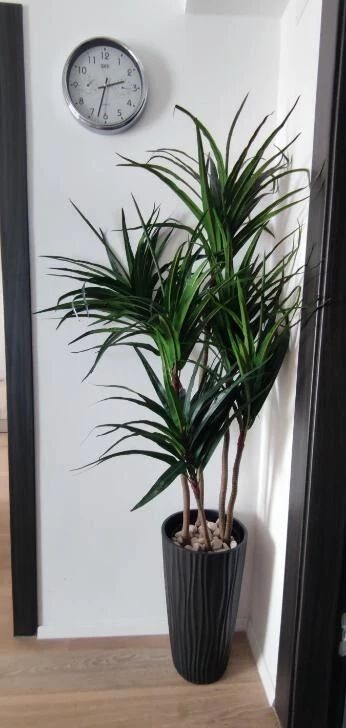 Apartmán Střední Dalmácie - Marušići (Omiš) DA 8520 N1