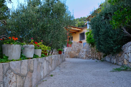 Apartmán Ostrov Brač - Bol OS 10354 N1