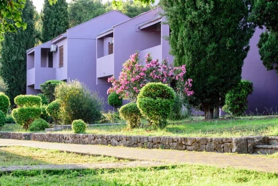 Apartmán Střední Dalmácie - Seget Donji DA 8526 N7