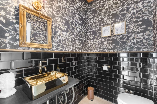 Vila Istrie - Žminj IS 7198 N1