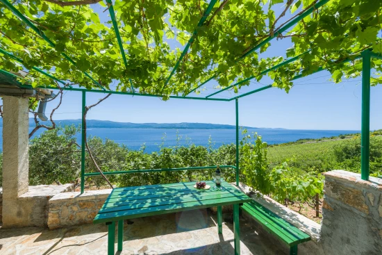 Apartmán Ostrov Brač - Bol OS 10366 N5