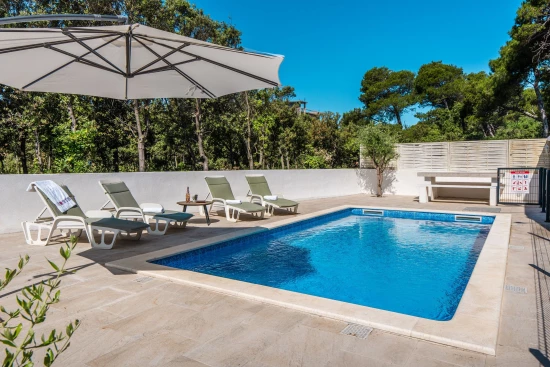 Apartmán Ostrov Vir - Vir OS 10369 N1