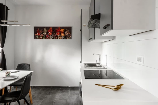 Apartmán Ostrov Vir - Vir OS 10370 N1