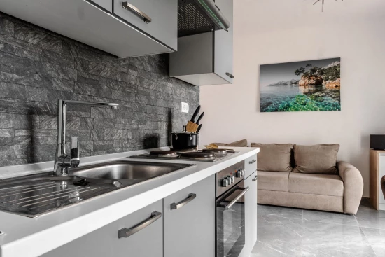 Apartmán Ostrov Vir - Vir OS 10370 N3