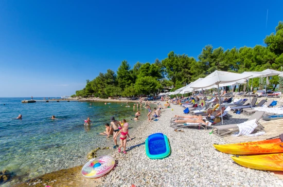 Apartmán Istrie - Rovinj IS 7200 N3