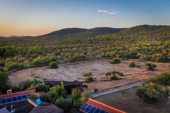 Vila Ostrov Murter - Tisno OS 10374 N1