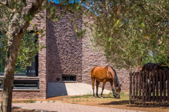 Vila Ostrov Murter - Tisno OS 10374 N1