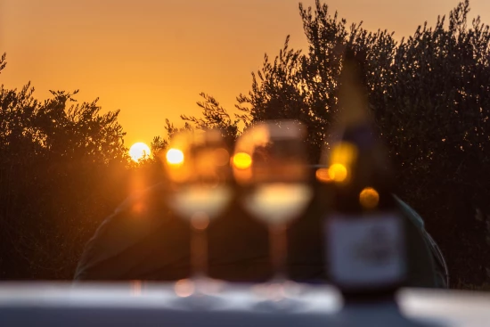 Vila Ostrov Murter - Tisno OS 10374 N1