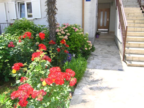 Apartmán Ostrov Krk - Krk OS 10378 N1