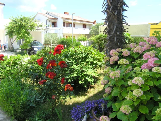 Apartmán Ostrov Krk - Krk OS 10378 N1