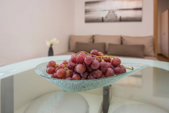 Apartmán Ostrov Vir - Vir OS 10383 N1