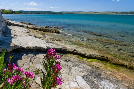 Apartmán Severní Dalmácie - Ljubač DA 8575 N1