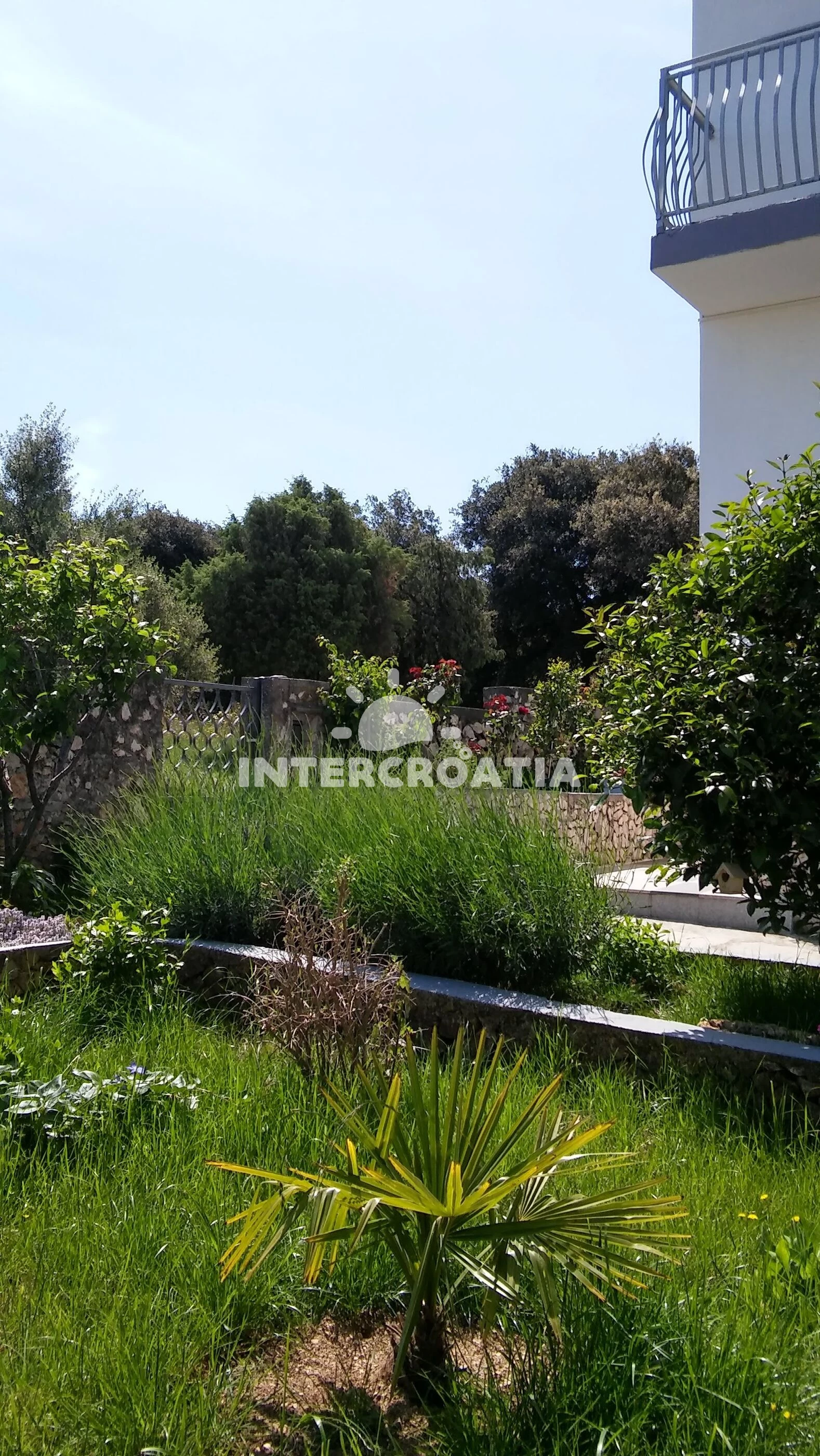 Apartmán Severní Dalmácie - Ražanj DA 8576 N1