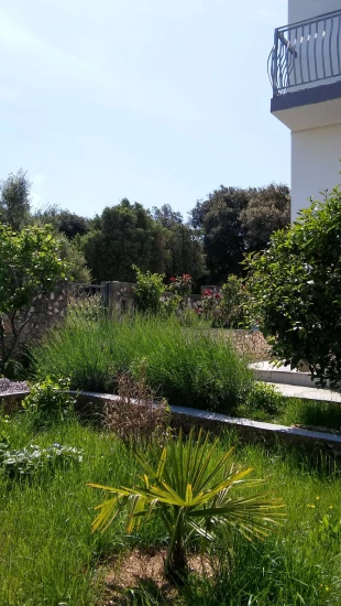 Apartmán Severní Dalmácie - Ražanj DA 8576 N1