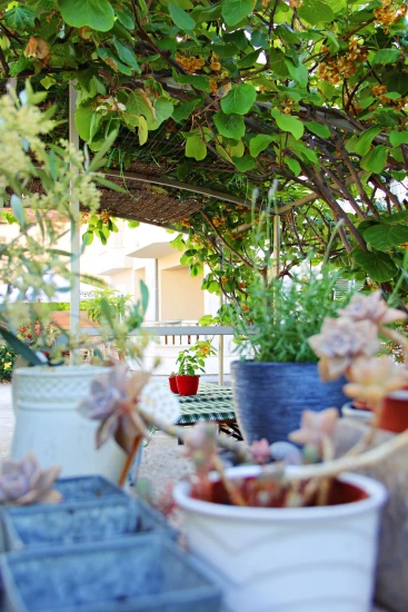 Apartmán Střední Dalmácie - Trogir DA 8586 N1