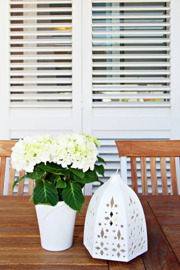 Apartmán Střední Dalmácie - Trogir DA 8586 N1