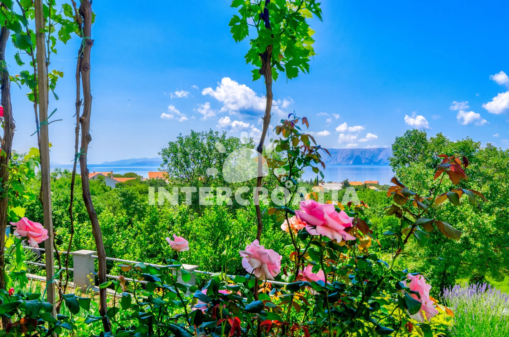 Apartmán Kvarner - Povile (Novi Vinodolski) KV 7661 N1