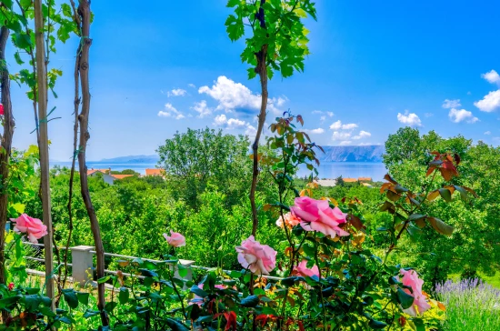 Apartmán Kvarner - Povile (Novi Vinodolski) KV 7661 N1