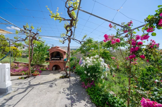 Apartmán Ostrov Rab - Lopar OS 10398 N1