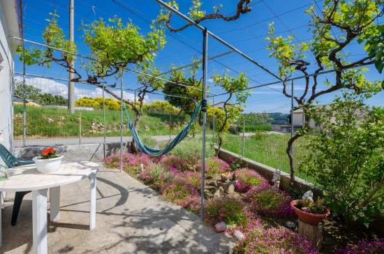 Apartmán Ostrov Rab - Lopar OS 10398 N1