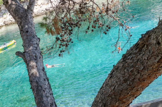 Apartmán Ostrov Dugi otok - Zaglav OS 10406 N1