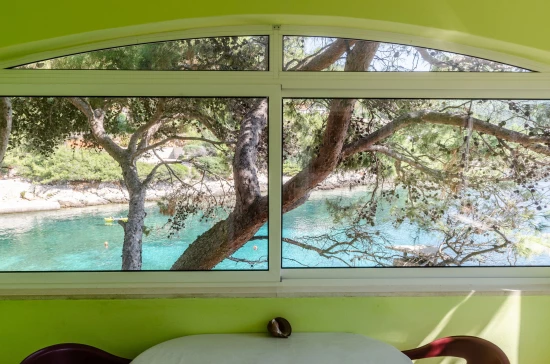 Apartmán Ostrov Dugi otok - Zaglav OS 10406 N1