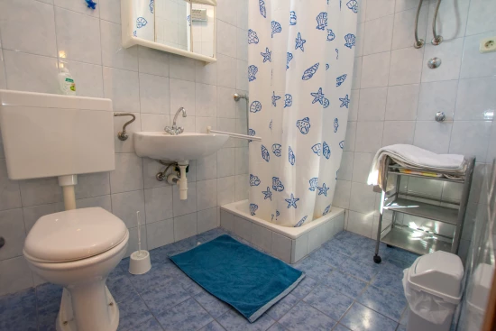 Apartmán Severní Dalmácie - Pakoštane DA 8600 N2