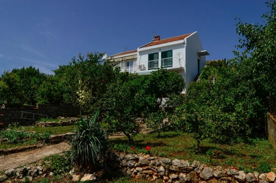 Domek Jižní Dalmácie - Lovište DA 8603 N1