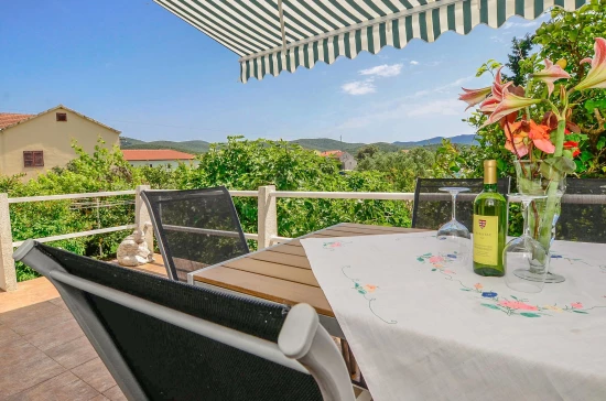 Domek Jižní Dalmácie - Lovište DA 8603 N1