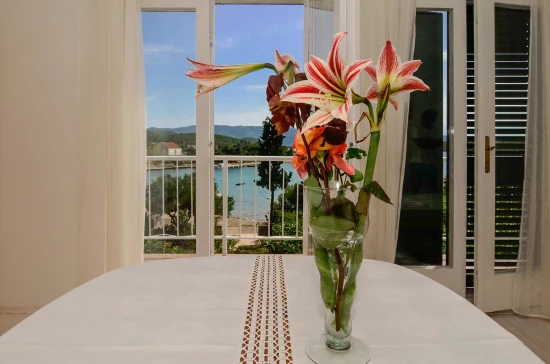 Domek Jižní Dalmácie - Lovište DA 8603 N1