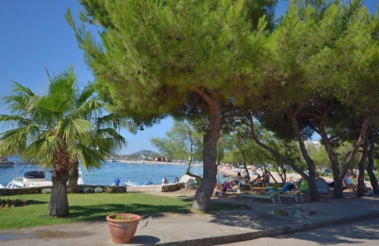 Apartmán Severní Dalmácie - Srima (Vodice) DA 8608 N1