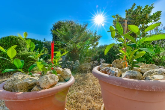 Apartmán Ostrov Vir - Vir OS 10423 N2