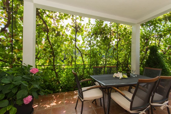 Apartmán Střední Dalmácie - Seget Donji DA 8630 N1