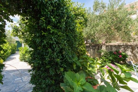 Apartmán Střední Dalmácie - Seget Donji DA 8630 N1