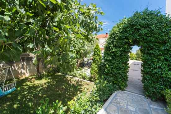 Apartmán Střední Dalmácie - Seget Donji DA 8630 N1