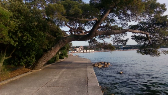 Apartmán Ostrov Krk - Malinska OS 10431 N1