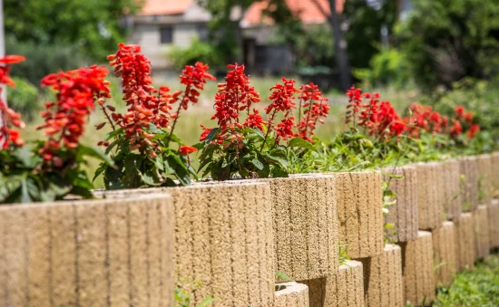 Domek Střední Dalmácie - Cista Provo DA 8633 N1